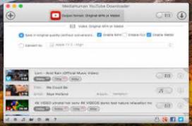 MediaHuman YouTube Downloader 3.9.9.83.2406 instal the new version for android